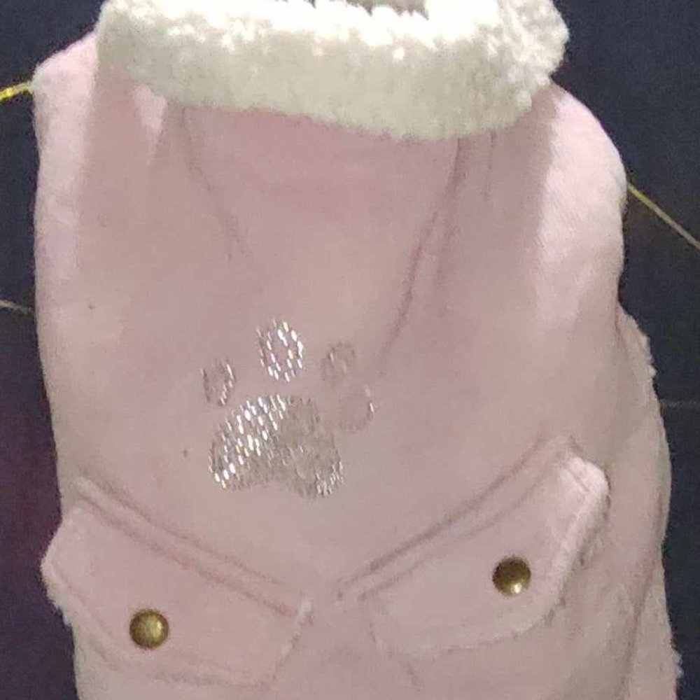 Doggie Vest